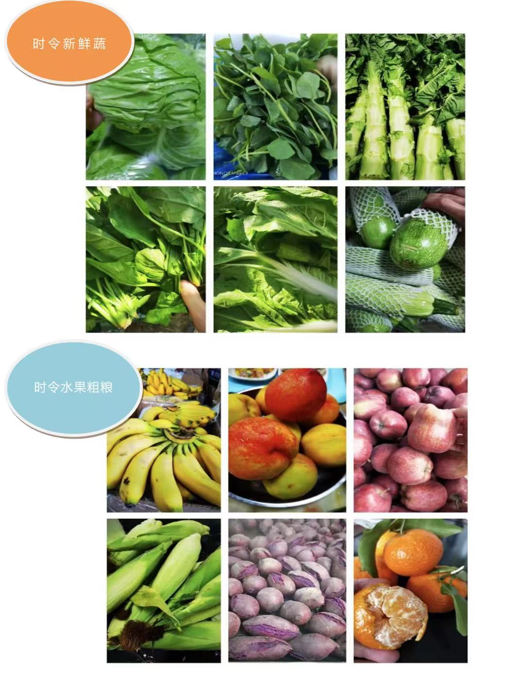 餐饮管理(20份起订) 餐饮管理(20份起订)